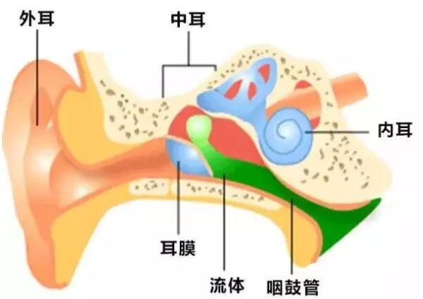 外耳道炎的预防方法