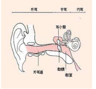 重庆治疗耳鼻喉的医院-外耳道炎
