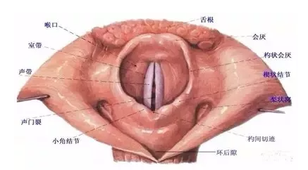 重庆耳鼻喉医院哪家好