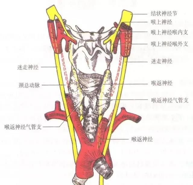 重庆耳鼻喉医院哪家好