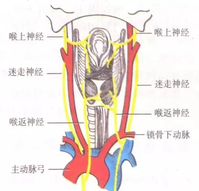 重庆仁品耳鼻喉医院