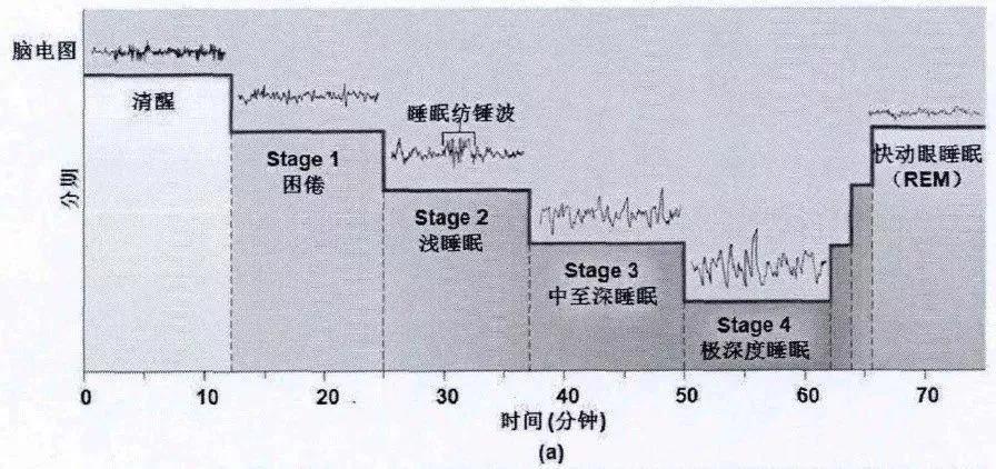 重庆耳鼻喉医院