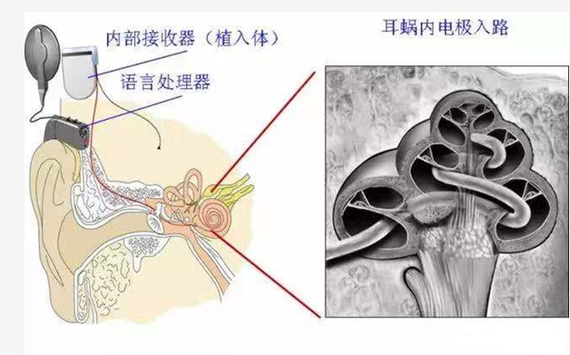 重庆耳鼻喉医院