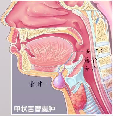 重庆治疗耳鼻喉的医院